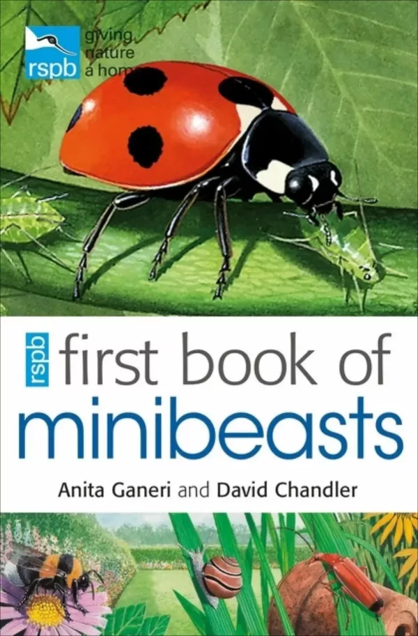 RSBP First book of minibeasts by Anita and David Chandler