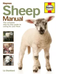 Haynes sheep manual