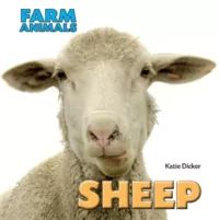 Sheep book for children approx 4-5 years KS1