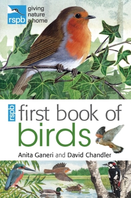 rspb first book of birds
