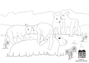 Free spring lambs colouring sheet for kids