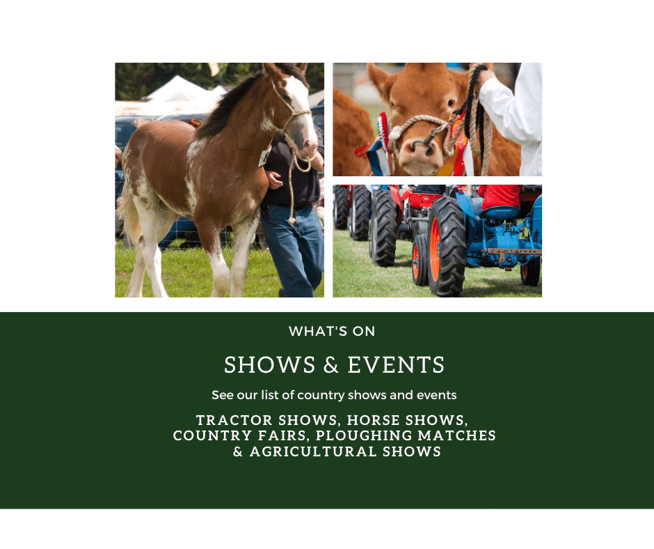 Agricultural show, tractor show, horse show