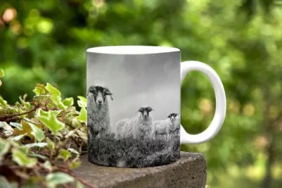 Moorland sheep mug